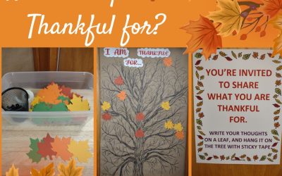 Share what you are Thankful for on our Thankful Tree…