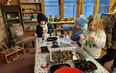 Christmas for the birds